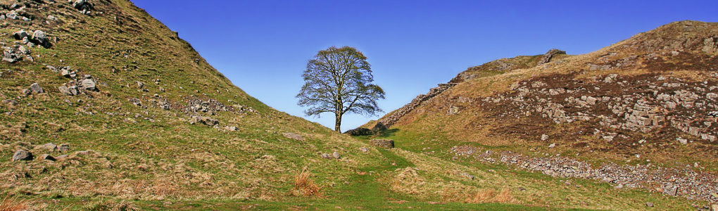 Sycamore Gap, Hadrian's Wall, Northumberland